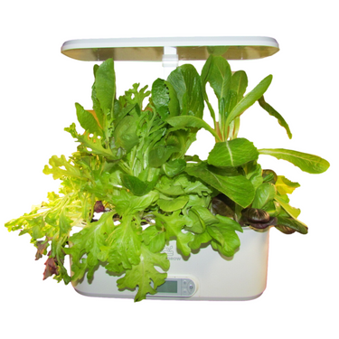 Indoor Hydroponic Growing System Herb & Salad Garden Kit - 11 Grow Pods